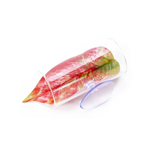 CHUANYGU Acryl-Aquarium-Blattablage mit Saugnapf – künstliche Aquarium-Pflanze für Betta-Garnelen, kleine Fische, Lebensraum-Dekor CHUANYGU Acryl-Aquarium-Blattablage mit Saugnapf – künstliche Aquarium-Pflanze für Betta-Garnelen, kleine Fische, Lebensraum-Dekor von CHUANYGU