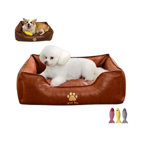 CHUANYGU Haustiersofa aus Kunstleder für kleine Hunde und Katzen, abnehmbares Kissen mit rutschfester Unterseite, stützendes Bett im Möbelstil (Messing, M) von CHUANYGU
