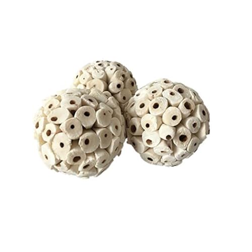 CHUANYGU Natural Sola Ball Kauspielzeug für Vögel, 3 Stück, für Nymphensittiche, Sittiche, kleine Haustiere CHUANYGU Natural Sola Ball Kauspielzeug für Vögel, 3 Stück, für Nymphensittiche, Sittiche, kleine Haustiere von CHUANYGU