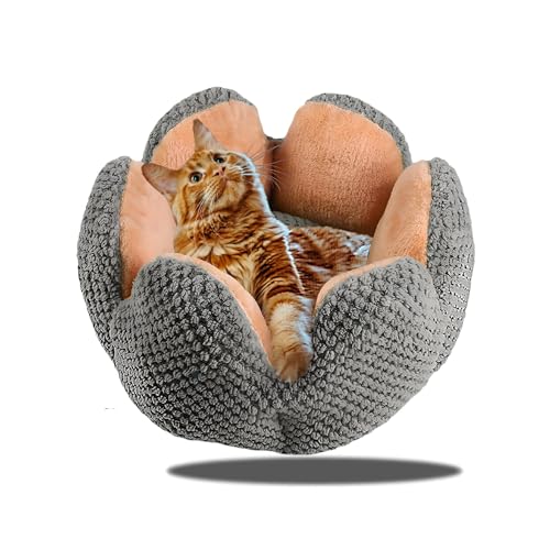 CHUANYGU Rundes Haustierbett für Katzen und kleine Hunde, weiches Plüsch-Donut-Bett mit abnehmbarem Bezug, waschbarer und rutschfester Boden (grau) von CHUANYGU