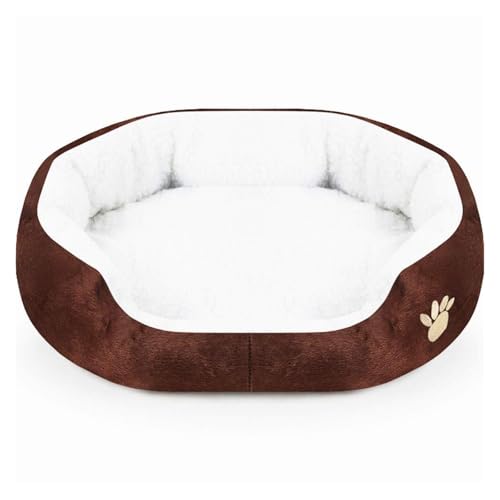 CHUANYGU Weiches, flauschiges Haustierbett für Katzen und Hunde, waschbare Sofa-Matte, Größe M (50 x 40 cm) und L (60 x 50 cm), bequemes Plüsch-Schlafkissen (Braun, M) von CHUANYGU
