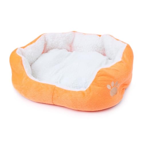 CHUANYGU Weiches, flauschiges Haustierbett für Katzen und Hunde, waschbare Sofa-Matte, Größe M (50 x 40 cm) und L (60 x 50 cm), bequemes Plüsch-Schlafkissen (Orange, M) von CHUANYGU
