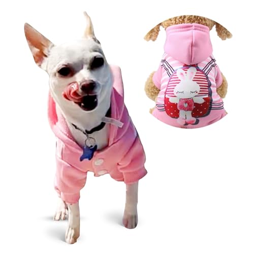 Hunde-Kapuzenpullover für kleine Hunde, warmer Welpenpullover für Pudel, Yorkie, Chihuahua, weiche, atmungsaktive Haustierkleidung für drinnen und draußen (Größe XL) von CHUANYGU