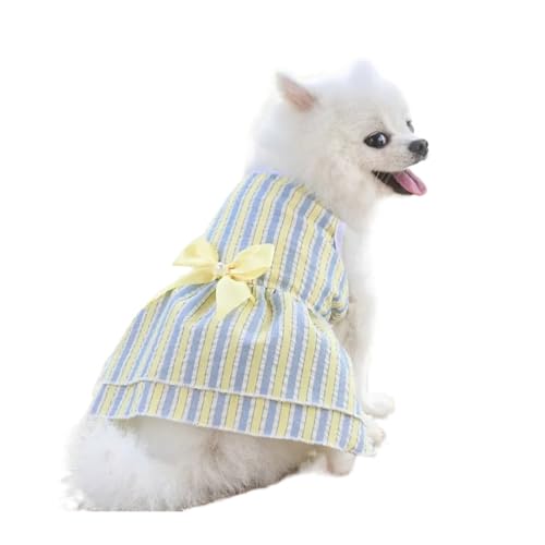 Hundekleid für kleine Hunde, Sommer-Outfit, Prinzessin, Haustier-Tutu, Rock, Bekleidung für Chihuahua, Welpen, Katzen, gestreift, Spandex, niedlich, modisch (Gelb-Grün, S) von CHUANYGU