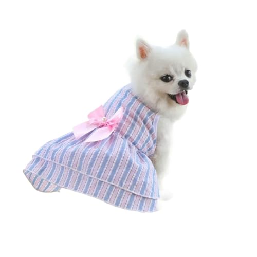 Hundekleid für kleine Hunde, Sommer-Outfit, Prinzessin, Haustier-Tutu, Rock, Bekleidung für Chihuahua, Welpen, Katzen, gestreift, Spandex, niedlich, modisch (Rosa-Blau, XL) von CHUANYGU