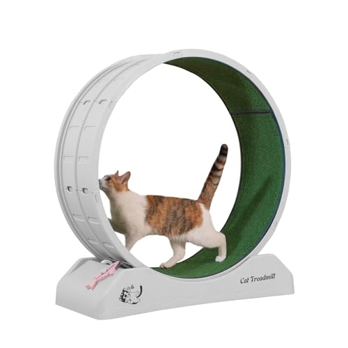 Laufband für Katzen für den Innenbereich, Grau – Katzenlaufband zum Laufen und Spielen, robuste PP-Konstruktion, Grau von CHUANYGU