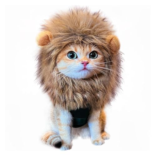 Löwenmähne Perücke für Katze, Hase, Hut mit Ohren, bezauberndes Haustierkostüm für Halloween, Weihnachten, Ostern, Party, Verkleidung, lustige Foto-Requisiten, kleine Hunde (S) von CHUANYGU