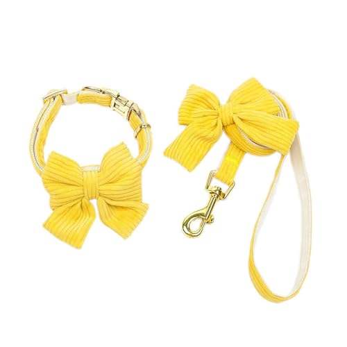 Niedliches Hundehalsband und Leine, Set aus weichem Samt, Welpenhalsband mit abnehmbarer Schleife, verstellbare Cord-Leine für kleine, mittelgroße Hunde (M) von CHUANYGU