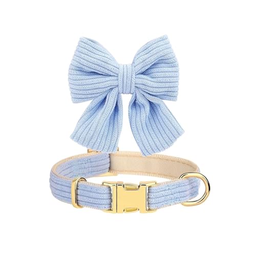 Süßes Hundehalsband und Leine aus weichem Samt, mit abnehmbarer Schleife, Kordsamt, verstellbar, für kleine und mittelgroße Hunde, Spaziergänge im Freien (Blau, S) von CHUANYGU