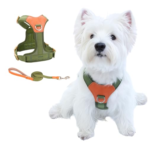 CHUNFENGX Hundegeschirr und Leine, kein Ziehen, Hundegeschirr mit Frontclip, mittelgroß, für mittelgroße und große Hunde (Grün, L) von CHUNFENGX