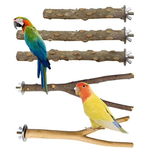 5 Stück Sitzstangen für Vögel CHUNLINLAODA-Vogelstange Stand Spielzeug Vogelstangen Sitzstangen für Vogelkäfige Zweig Zubehör für Sittiche Nymphensittiche Conures Aras Finken (Holzfarbe, S) von CHUNLINLAODA
