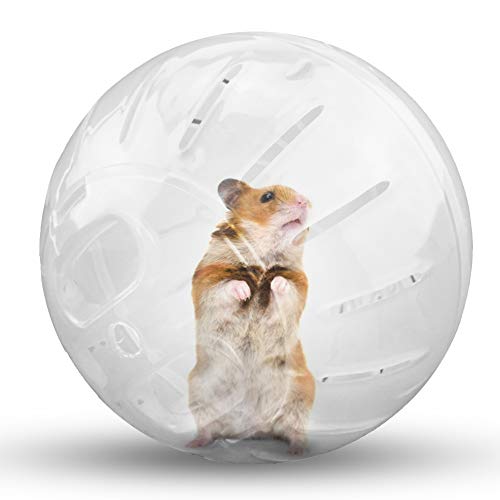 Hamster-Gymnastikball, leises Hamsterrad, kleine Tiere, transparenter Ball für Dwar Ratten, lindert Langeweile und erhöht die Aktivität (12,2 cm, transparent) von CHUQIANTONG