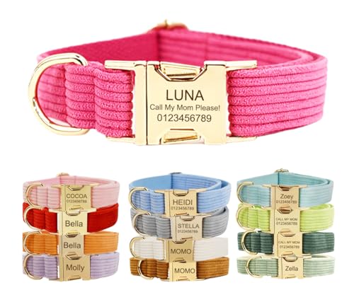 Hundehalsband mit Metallschnalle, personalisierbar, mit Namen, Telefonnummer, Adresse, Gravur, Kordsamt Hundehalsband mit Metallschnalle, personalisierbar, mit Namen, Telefonnummer, Adresse, Gravur, Kordsamt von CHUTRU