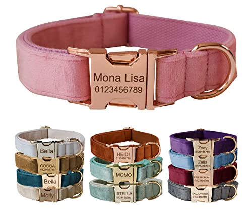 Personalisiertes Hundehalsband mit Metallschnalle, individuelle Haustiermarken mit Namen, Telefonnummer, Adresse graviert, Samt Stil A Personalisiertes Hundehalsband mit Metallschnalle, individuelle Haustiermarken mit Namen, Telefonnummer, Adresse graviert, Samt Stil A von CHUTRU