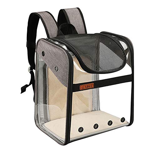 CHYIR Haustier-Rucksack erweiterbare Transporttasche mit Drahtstruktur, faltbarer transparenter und geräumiger Rucksack für Welpen, Hunde, Katzen (grau) von CHYIR