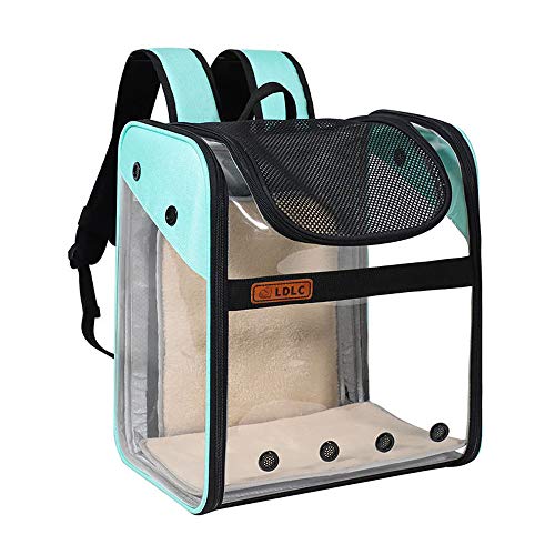 CHYIR Haustiertragetasche Rucksack Erweiterbar Transporttasche mit Drahtstruktur Faltbarer Transparent und geräumiger Rucksack für Welpen, Hunde, Katzen (Himmelblau) von CHYIR
