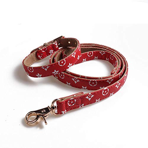 Hundeleine und Hundehalsband, geeignet für Spaziergänge und Training für kleine und mittelgroße Haustiere, verstellbare stabile und langlebige Leine (M, rot) von CHYIR