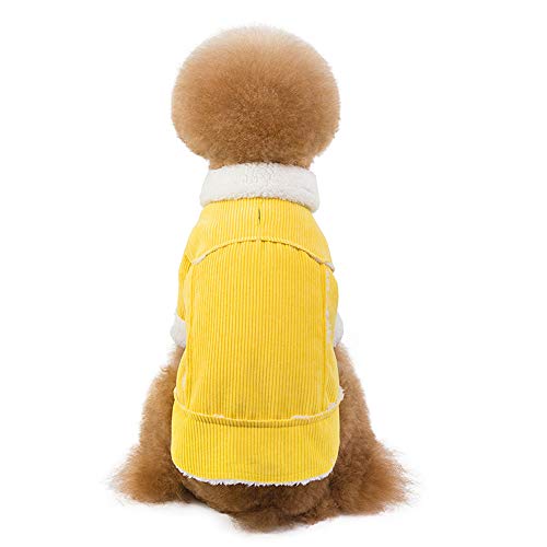 Hundepullover für Haustiere, warm, aus Cord, für kleine und mittelgroße Hunde (XL, gelb) von CHYIR