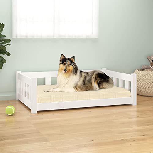 CIADAZ Hundebett Weiß 95,5x65,5x28 cm Massivholz Kiefer Hundesofa, Hunde Bett, Hundekissen, Dog Bed, Kuschelbett Katzen, Hunde Couch, Hunde Sofabett,833256 CIADAZ Hundebett Weiß 95,5x65,5x28 cm Massivholz Kiefer Hundesofa, Hunde Bett, Hundekissen, Dog Bed, Kuschelbett Katzen, Hunde Couch, Hunde Sofabett,833256 von CIADAZ