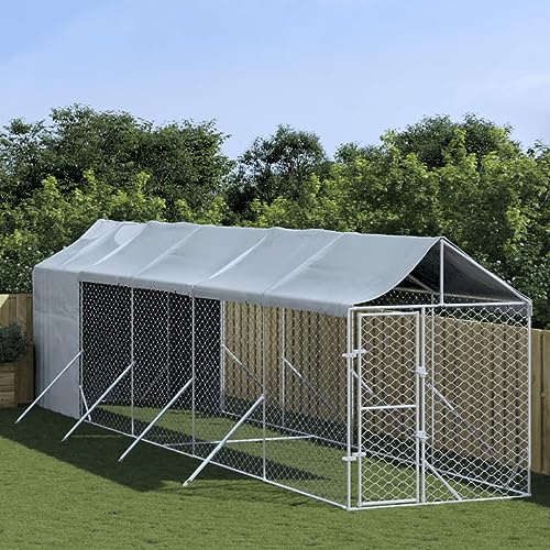 CIADAZ Outdoor-Hundezwinger mit Dach Silbern 2x10x2,5 m Stahl Verzinkt, Kaninchenstall, Legenester Für Hühner, Hühnerhaus, Hasenstall Draußen 3190492 von CIADAZ