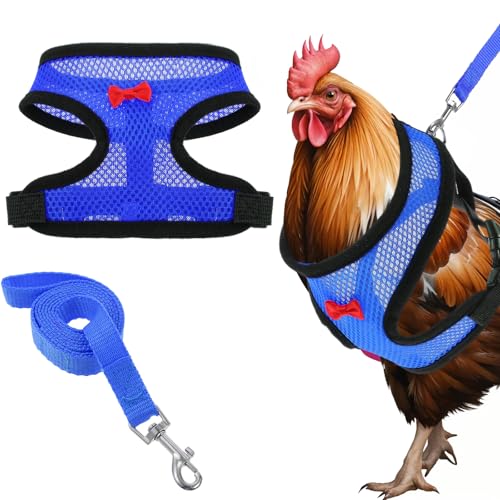 1 Stück Hühnergeschirr mit Leine,Einstellbar Hühnerzubehör,Komfort und Haltbarkeit Hühnerleine mit 1 Meter Abschleppseil,für Hühner,Enten,Gänse und Kleine Haustiere (Blau) von CIATBYYJ