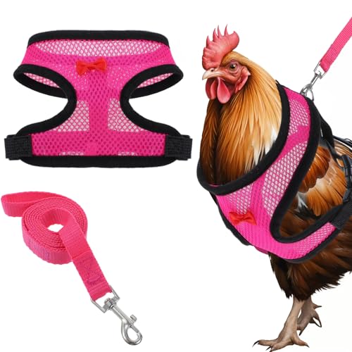 1 Stück Hühnergeschirr mit Leine,Einstellbar Hühnerzubehör,Komfort und Haltbarkeit Hühnerleine mit 1 Meter Abschleppseil,für Hühner,Enten,Gänse und Kleine Haustiere (Rosa, M)(Rosa) von CIATBYYJ