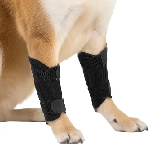 CIATBYYJ Hunde-Beinmanschette, 1 Paar, Vorderbeinbandage, schützt Wunden, stoppt Lecken, Hunde-Bandagen für Hinterbeine, Unterstützung, Hundeschiene Vorderbeine, verhindert Verletzungen und CIATBYYJ Hunde-Beinmanschette, 1 Paar, Vorderbeinbandage, schützt Wunden, stoppt Lecken, Hunde-Bandagen für Hinterbeine, Unterstützung, Hundeschiene Vorderbeine, verhindert Verletzungen und von CIATBYYJ