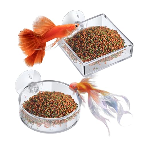 Garnelen-Futternapf für Fische, runder und quadratischer Acryl-Futternapf mit Saugnäpfen, transparent, 60 mm, 2 Stück Garnelen-Futternapf für Fische, runder und quadratischer Acryl-Futternapf mit Saugnäpfen, transparent, 60 mm, 2 Stück von CIATBYYJ