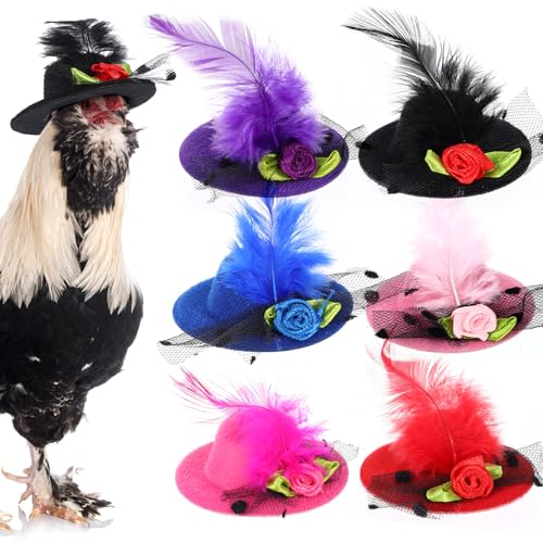 Huhnmützen für Hahn, Henne, Mini-Huhn-Helm, Kostüm, lustige Hühnerhüte mit verstellbarem elastischem Kinnriemen für Hühner, Showkleidung, niedlicher Federhut für Tiere, stilvolles Show-Kostüm, 6 Stück Huhnmützen für Hahn, Henne, Mini-Huhn-Helm, Kostüm, lustige Hühnerhüte mit verstellbarem elastischem Kinnriemen für Hühner, Showkleidung, niedlicher Federhut für Tiere, stilvolles Show-Kostüm, 6 Stück von CIATBYYJ