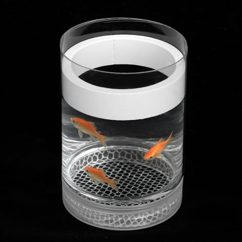 Züchterbox für Aquarium, Acryl, Aquarium-Trennwand, schwimmende Netzisolierung, Brutkasten, Guppies, Fische, lebende Brutstätte, Betta-Fische, Zuchtboxen, Baby-Fische, Tanktrenner Züchterbox für Aquarium, Acryl, Aquarium-Trennwand, schwimmende Netzisolierung, Brutkasten, Guppies, Fische, lebende Brutstätte, Betta-Fische, Zuchtboxen, Baby-Fische, Tanktrenner von CIATBYYJ
