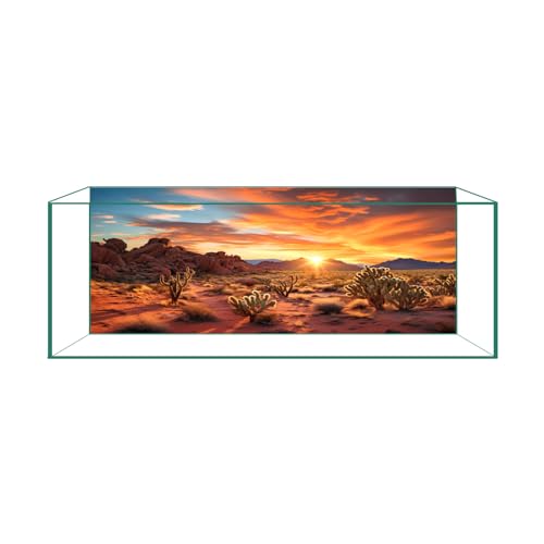 Aquarium-Hintergrund & Terrarium-Hintergrund – Ultra HD statisch haftend, klebefrei, Wüsten-Sonnenuntergang-Design für Reptilien-Tankdekorationen, perfekt für Bartagamen- und Leoparden-Gecko-Tanks 45 Aquarium-Hintergrund & Terrarium-Hintergrund – Ultra HD statisch haftend, klebefrei, Wüsten-Sonnenuntergang-Design für Reptilien-Tankdekorationen, perfekt für Bartagamen- und Leoparden-Gecko-Tanks 45 von CICK SEED