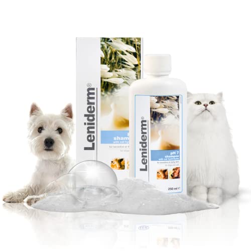 iCF Leniderm SHAMPOO für Hunde und Katzen - 250 ml von ICF