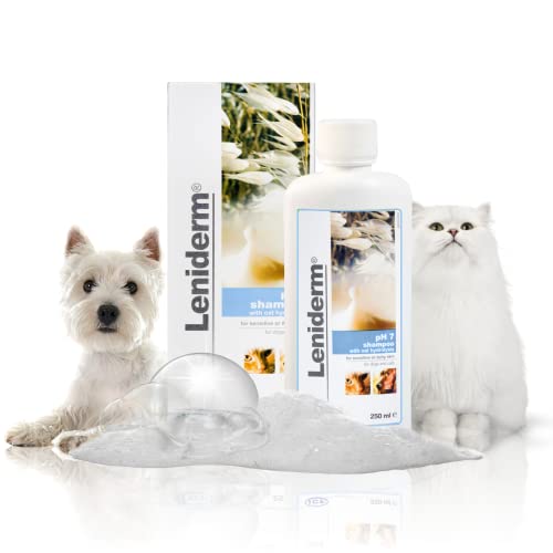 Hundeshampoo gegen Juckreiz und empfindliche Haut | Beruhigende Fellpflege mit Haferhydrolysat & Distelöl | Feuchtigkeitsspendendes Shampoo für Hunde und Katzen | Leniderm Shampoo von ICF von ICF