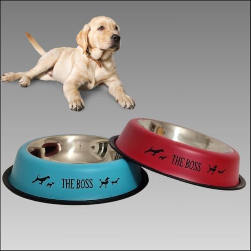 CIIN 2er-Pack Futternäpfe für Hunde, blau und rot, großer Hundenapf, 30 cm Basis und 22 cm Mund, Edelstahl-Schüssel und rutschfest, mit Gummiboden, robust, Fassungsvermögen 1550 ml CIIN 2er-Pack Futternäpfe für Hunde, blau und rot, großer Hundenapf, 30 cm Basis und 22 cm Mund, Edelstahl-Schüssel und rutschfest, mit Gummiboden, robust, Fassungsvermögen 1550 ml von CIIN