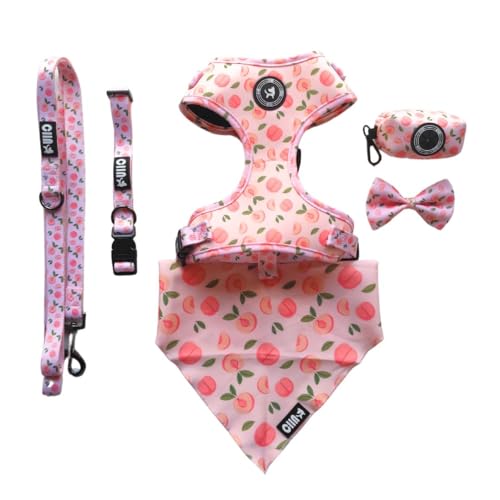 CIIN 2 x 1 Set mit mittelgroßem Hundegeschirr mit Leine, Halsband, Hygienebeutel, Fliege und Bandana (Pfirsichrosa, M). Kostenloses Set in Blau Größe M | Überprüfen Sie die Maße Bild 3. von CIIN