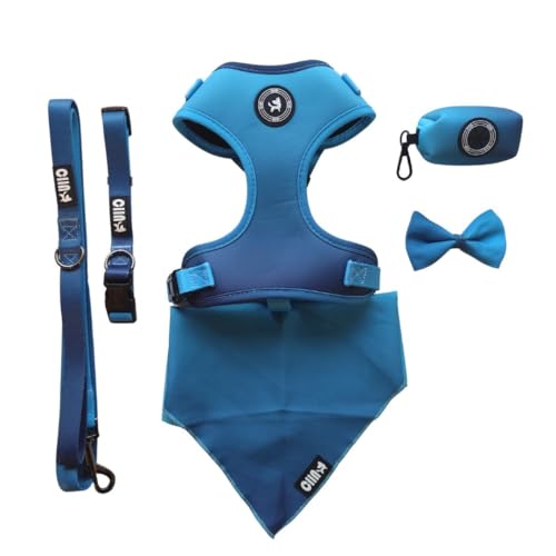 CIIN 2 x 1 Set mit mittelgroßem Hundegeschirr mit Leine, Halsband, Hygienebeutel, Fliege und Bandana (Blau, Farbverlauf, M) | Gratis Kauf Set Pfirsichrosa | Maße Bild 3 von CIIN