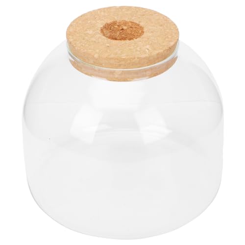 1 Satz Ökologische Mikrolandschaftsflasche Mini-vasen Glasbehälter Klare Vasen Für Blumen Terrarium-kit Keksdose Blumendekor Glasflasche Selber Machen Glasvasen Kuppel Moos Hölzern von CIMAXIC