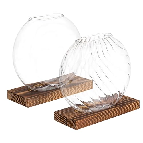 2 Stück Kreative Vase Für Pflanzen Terrarium Wandvasen Töpfe Für Pflanzen Anzuchtvasen Für Pflanzen Terrarium Glas Pflanzenanzuchtvase Glasvase Für Pflanzen Glas CIMAXIC 2 Stück Kreative Vase Für Pflanzen Terrarium Wandvasen Töpfe Für Pflanzen Anzuchtvasen Für Pflanzen Terrarium Glas Pflanzenanzuchtvase Glasvase Für Pflanzen Glas CIMAXIC von CIMAXIC