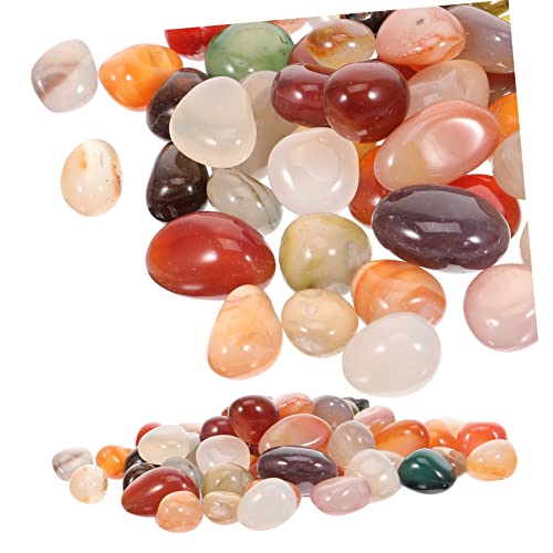 CIMAXIC 1 Packung Blumenpotpflanzen, Die Kieselsteine Fischtank Kieselsteine Landschaft Natursteine Füllen von CIMAXIC