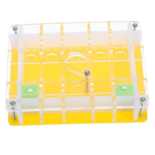 Ameisenzuchtbox Für Haustiere Ameisennest Wissenschaftliches Experimentierspielzeug Für Jungen Und Mädchen Ameisenzuchtbox Für Haustiere Ameisennest Wissenschaftliches Experimentierspielzeug Für Jungen Und Mädchen von CIMAXIC