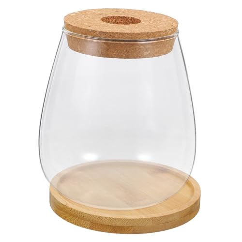 CIMAXIC 1 Set Transparenter Kunstpflanzenhalter Marmeladenvasen Für Dekorationsvasen Großmengen Wassertischpumpe Wiederverwendbare Hydrosystemgläser Grüne Korbflaschen CIMAXIC 1 Set Transparenter Kunstpflanzenhalter Marmeladenvasen Für Dekorationsvasen Großmengen Wassertischpumpe Wiederverwendbare Hydrosystemgläser Grüne Korbflaschen von CIMAXIC