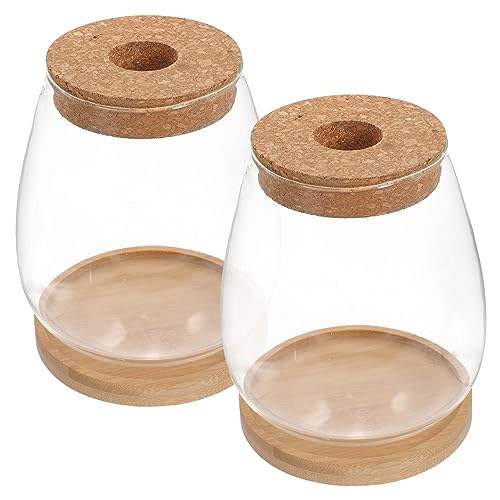CIMAXIC 1Satz Ökologie Flasche Für Mikrolandschaften Transparente Pflanzvase Mit Tablett Und Holzdeckel Für Wohnzimmer Und Bürodekoration DIY Projekte von CIMAXIC