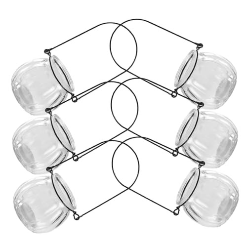 CIMAXIC 6 Stück Teiliges Hängende Glaskrüge für Pflanzen Wandmontierte Hydroponische Vasen Klarglas zur Dekoration von Zuhause und Büro für Luftpflanzen und Kerzen CIMAXIC 6 Stück Teiliges Hängende Glaskrüge für Pflanzen Wandmontierte Hydroponische Vasen Klarglas zur Dekoration von Zuhause und Büro für Luftpflanzen und Kerzen von CIMAXIC