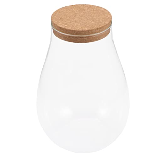 CIMAXIC Bryophyte Landschaft Flasche DIY Ökologische Glasflasche Für Betta Fische Und Wasserpflanzen Stilvolle Tischdekoration Und Terrarium Mit Holzverschluss von CIMAXIC