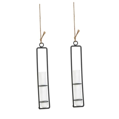 2er-Set Hängeblumen Aus Glas Mit Eisenrahmen Schlichtes Design Für Wohnzimmer Schlafzimmer Dekoration 2er-Set Hängeblumen Aus Glas Mit Eisenrahmen Schlichtes Design Für Wohnzimmer Schlafzimmer Dekoration von CIMAXIC