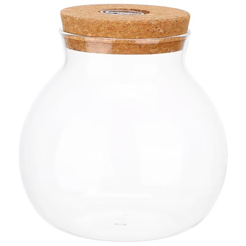 CIMAXIC Glas-Terrarium-Pflanzgefäß mit Korkdeckel, Hydrokultur-Pflanzvase aus Glas mit Licht, Desktop-Anzuchtstation, durchsichtige Terrarium-Flasche für Pflanzen und Blumen CIMAXIC Glas-Terrarium-Pflanzgefäß mit Korkdeckel, Hydrokultur-Pflanzvase aus Glas mit Licht, Desktop-Anzuchtstation, durchsichtige Terrarium-Flasche für Pflanzen und Blumen von CIMAXIC