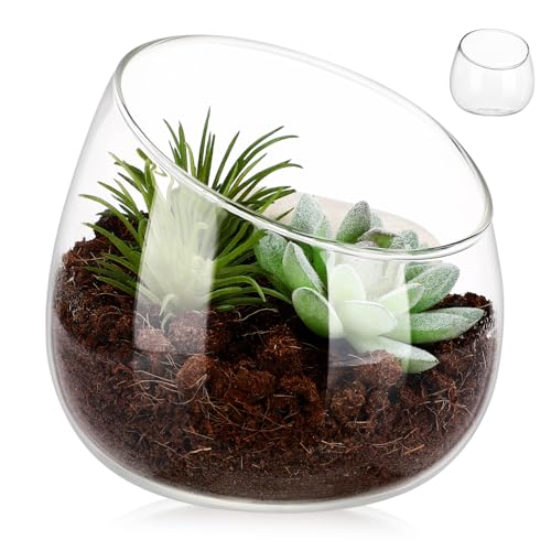 CIMAXIC Glas-blumenvase, Runder Terrarienbehälter, Blumentopf, Kleine Pflanztopfschale Für Kleine Pflanztöpfe Und Terrarienschalen von CIMAXIC