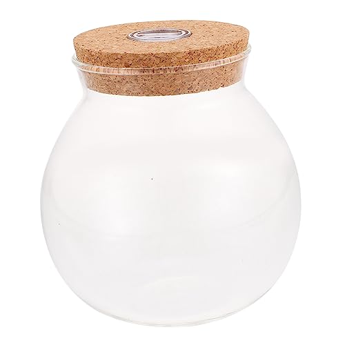 CIMAXIC Micro Landschaftsflasche mit LED DIY Terrarium für Pflanzen und Moos Kreative Glasflasche für Heimdekoration für Wohnzimmer Büro CIMAXIC Micro Landschaftsflasche mit LED DIY Terrarium für Pflanzen und Moos Kreative Glasflasche für Heimdekoration für Wohnzimmer Büro von CIMAXIC