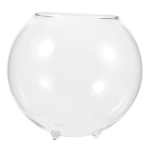 CIMAXIC Micro-Landschaftsvase hochzeitsdeko hochzeitsdeco dekoschalen Indoor Fountain glasbehälter Home Decor Fischzubehör Fischfutter Rührschüsseln Aquarium Luft Fischglas Clear Fish Bowl von CIMAXIC