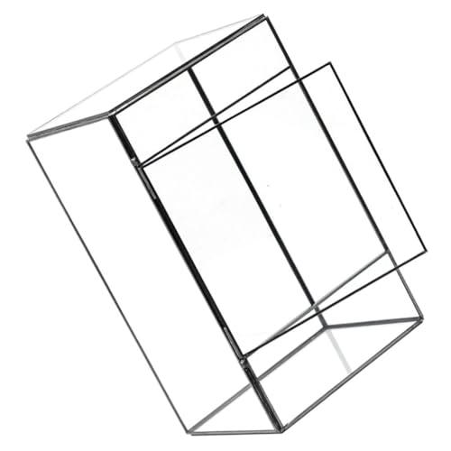 CIMAXIC Öko-Desktop-Landschaftstank Pflanzen Baum Bausatz Glockengläser Anlage bürodeko wohnzimmerdeko Terrarium nebler mini ökosystem Wohnkultur Landschaftsbehälter Terrarienglas Zinn von CIMAXIC